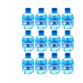 Chubby Blueberry Flavour 12X (250 ml)