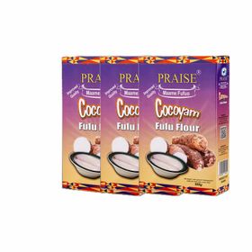 Praise Cocoyam Fufu Mehl 3X (680 g)