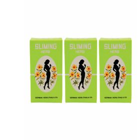 Sliming Schlankheitstee Kräuteraufguss 3X (41 g)