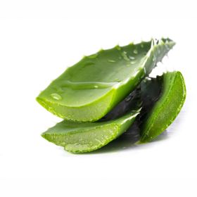 Aloe Vera Fresh 1st.