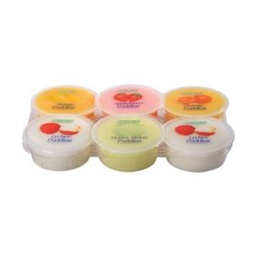 Pudding mit Kokosnussgel (480 g)