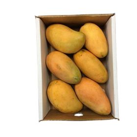 Reife Mango (Dominikanische Republik) – Karton