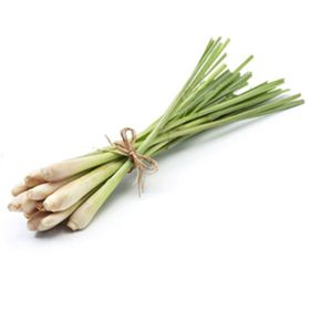 Zitronengras (200 g)