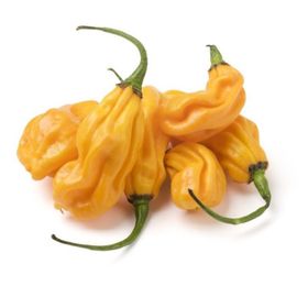 Madame Jeanette Chili (250 Gramm)